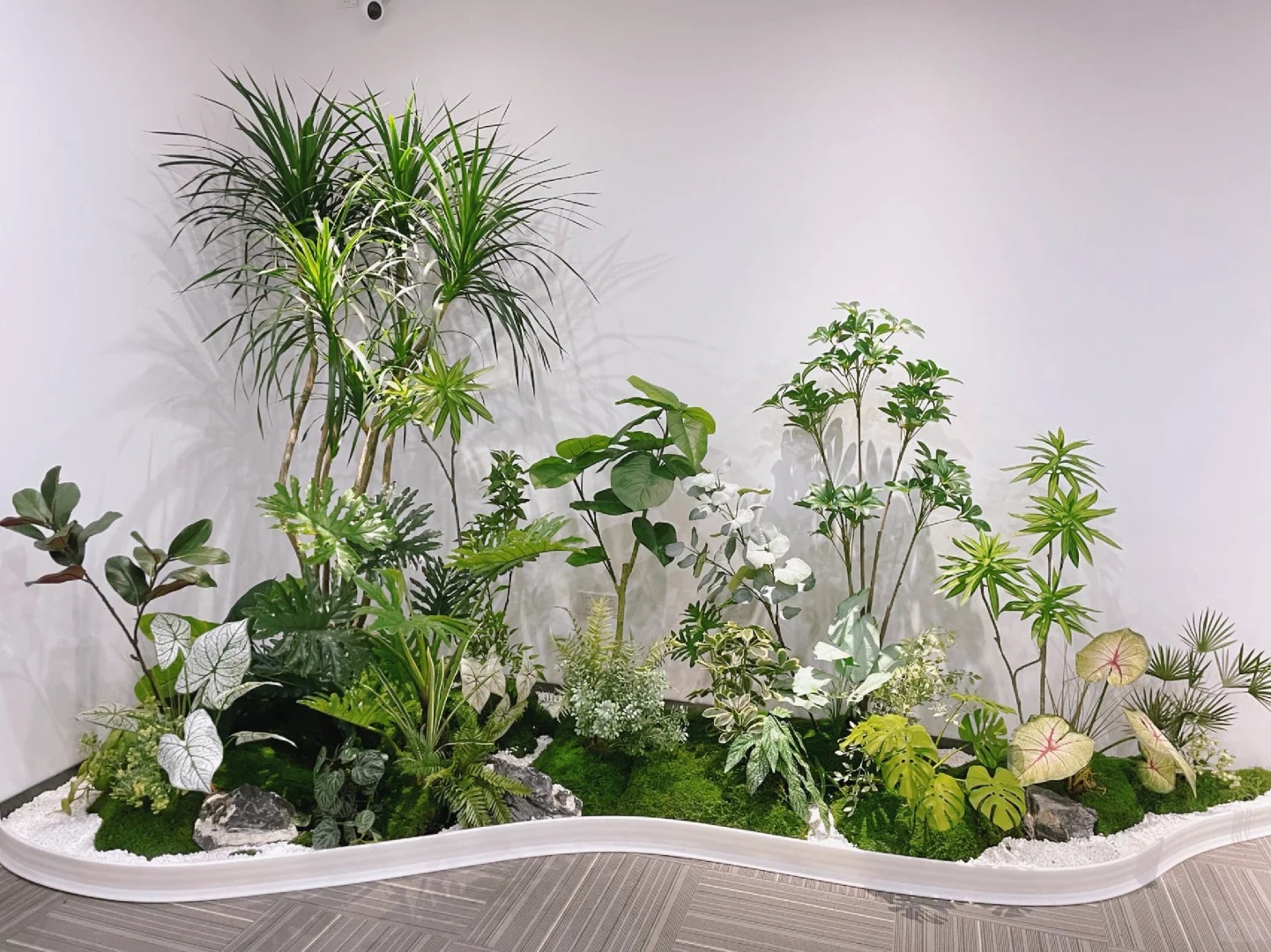 专业花卉租摆北仑强，让绿植为您的环境焕发生机